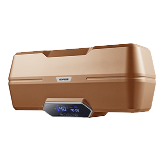 雙模    DSF-GS25A2（語(yǔ)音款）