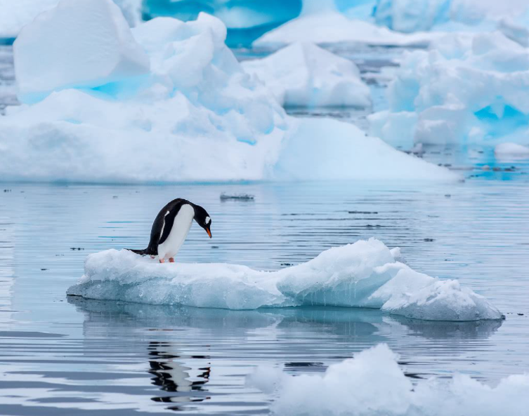 1641780978398257.png 微信截圖_20220110101223.png